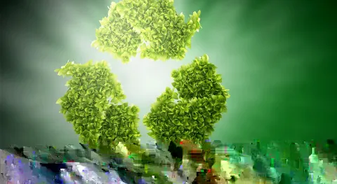 Haber Resmi