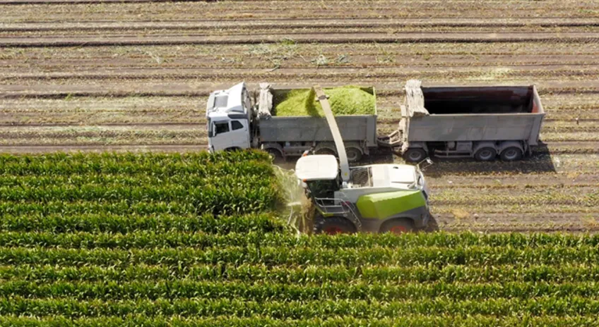 306 milyon liralık tarımsal destekleme ödemesi gerçekleşt