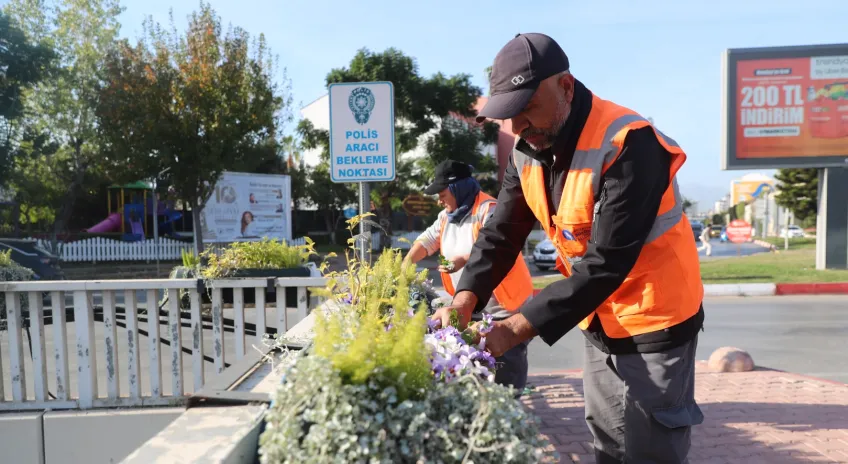 Antalya’da 4 Milyon Çiçek Toprakla Buluşuyor