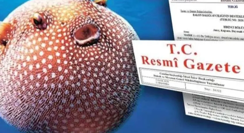 Haber Resmi