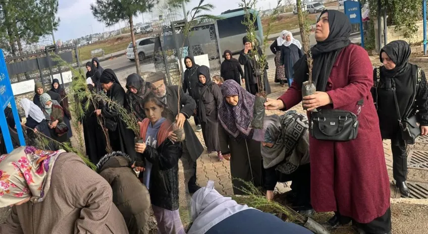 Batman'a ücretsiz fidan dağıtımı