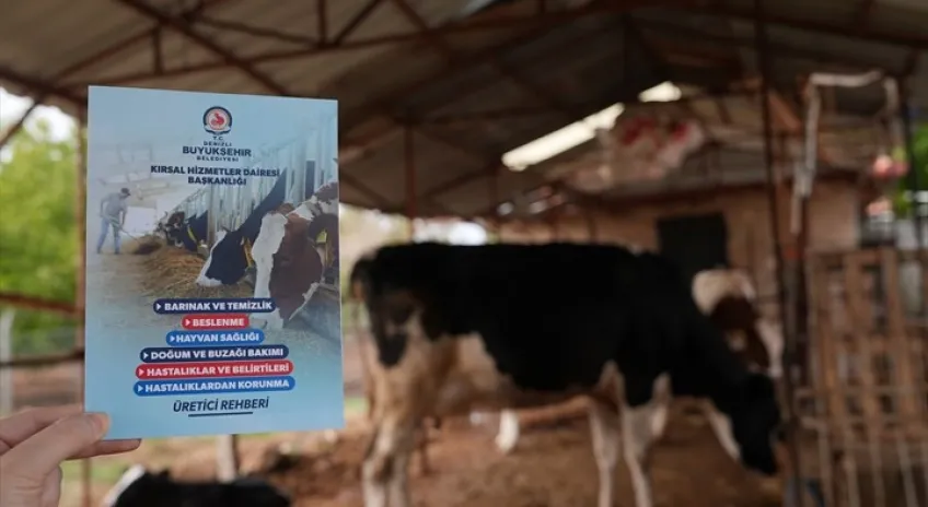 Denizli Büyükşehir’in Veteriner Danışmanlığı Üreticilerden Tam Not Aldı