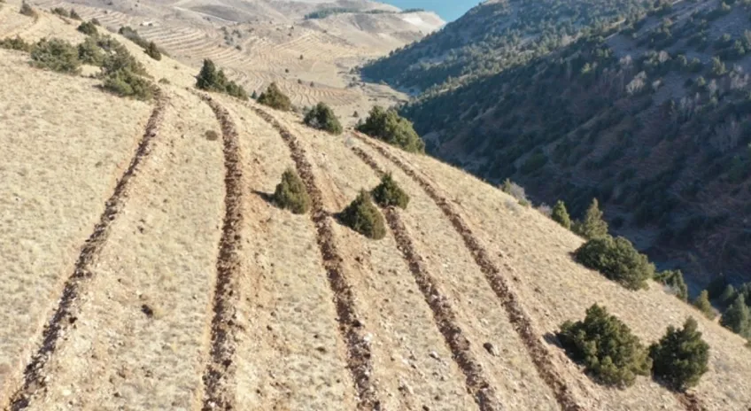 Doğu Anadolu’da yaklaşık 9 milyon fidan ve tohum toprakla buluşturuldu