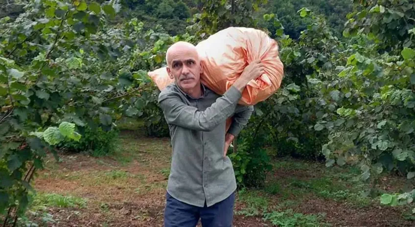 Fındık üreticisine kritik uyarı; İhtiyacınız yoksa satmayın