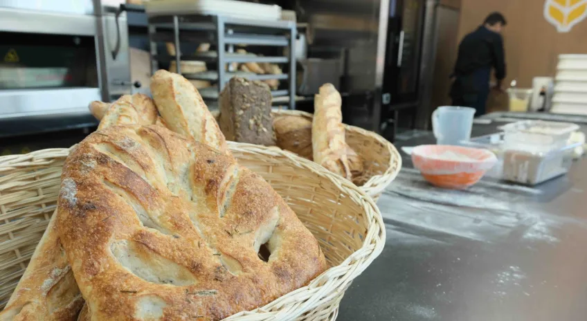 Geleceğin Fırıncılık Teknolojileri BAKERY PLUS 2025’te Tanıtıldı