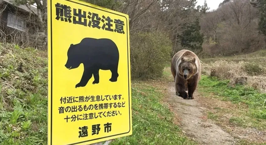 Japonya’da Belediyelere vahşi hayvanlara müdahale yetkisi