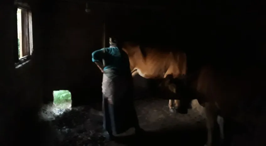 Karadeniz kadınının bitmeyen çilesi