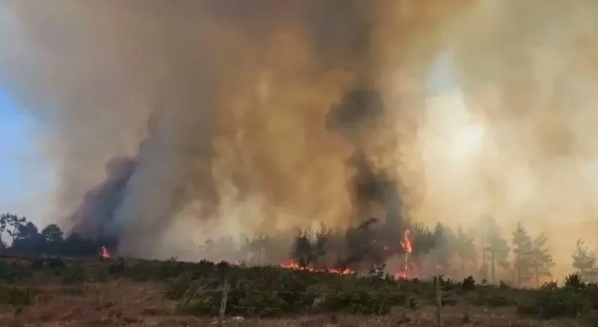Kastamonu’da orman yangınlarıyla mücadele sürüyor
