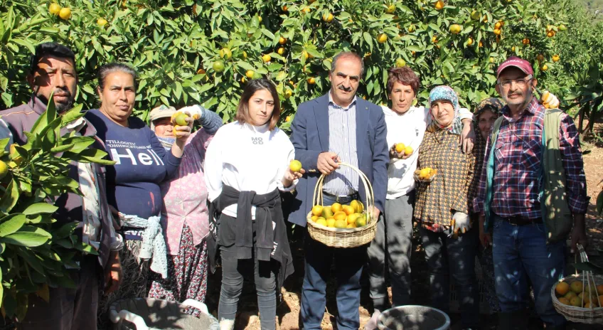 Mandalinada İhracat Hedefi 500 Milyon Dolar, Satsuma Mandalinada 125 Milyon Dolar
