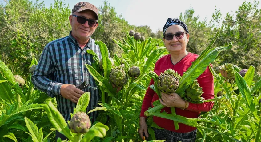 Mersin’de Üreticiye Tarımsal Destek Sürüyor