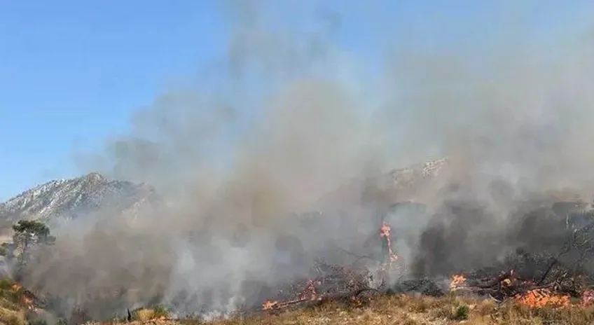 Şırnak’ta Bestler Dereler bölgesinde orman ve örtü yangını