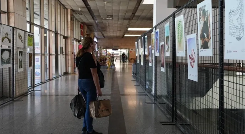 Terminalde Dünya Barış Günü Sergisi Açıldı