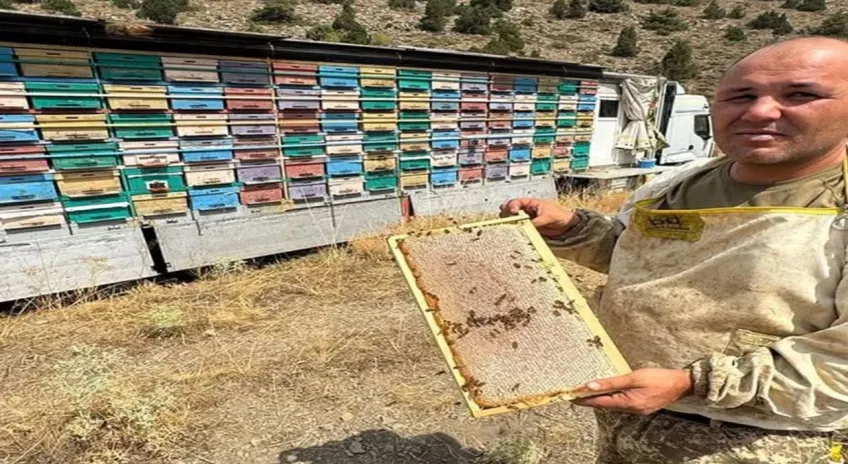 Toroslar’da gezici bal tırıyla doğal bal üretimi