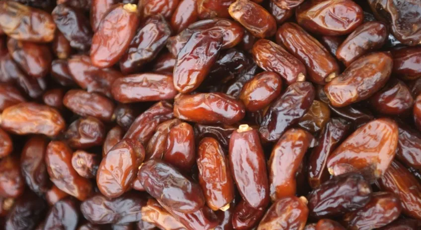 Türkiye’den Filistin’e hurmada kota desteği