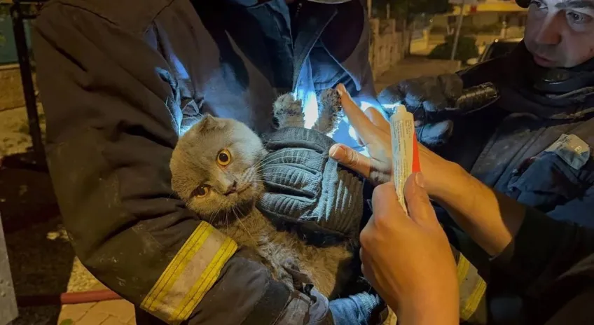 Yangında anne, oğlu ve kedisi yaralandı