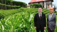 Haber Resmi